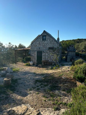 Mrdina house
